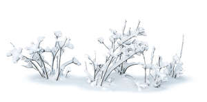 cut out small bush in winter covered with snow