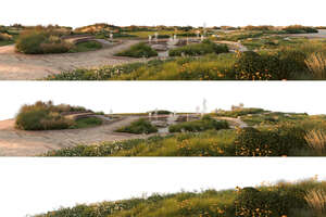 rendering of a foreground with pavement and plants in evening light on three separate layers