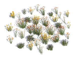 top view of different rendered flowers