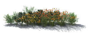 cut out rendered image of a backlit flowerbed