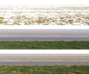 rendered foreground path with fallen leaves on separate layer