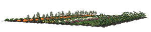 rendered cut out image of a vegetable field