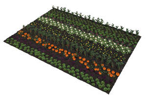 top view of a rendered vegetable field
