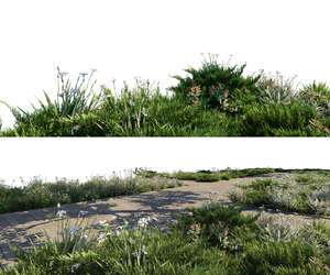 rendered foreground of a footpath and flowerbeds on different layers