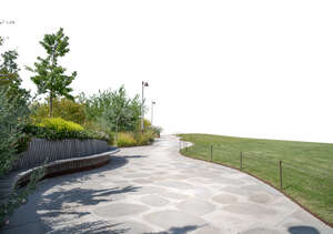 foreground of a path and flowerbed and benches