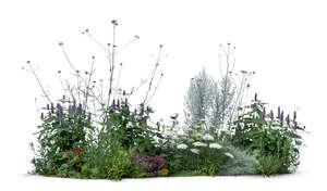 cut out flowerbed with purple and white flowers