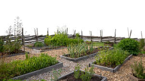 cut out foreground of a garden with planting beds