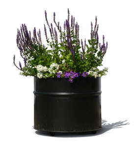 cut out blooming flowers in a black round planter