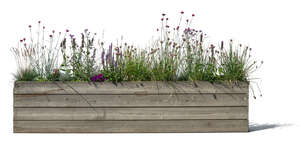 flowers and plants in a wooden planter