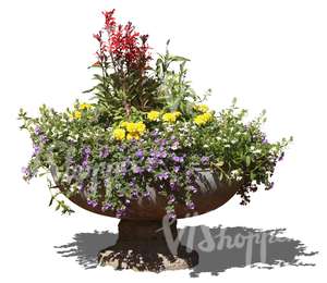 colorfol bouqet of flowers in a stone pot