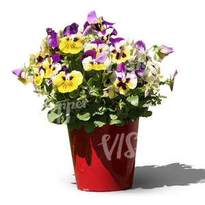 cut out pansy in a red pot