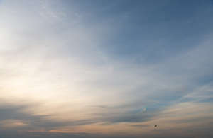 evening sky with thin clouds