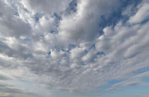 daytime sky covered with many white clouds