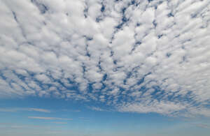daytime sky with densely scattered small clouds