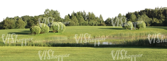 cut out meadow with trees and a pond