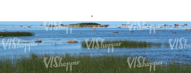 cut out background with a grassy seashore