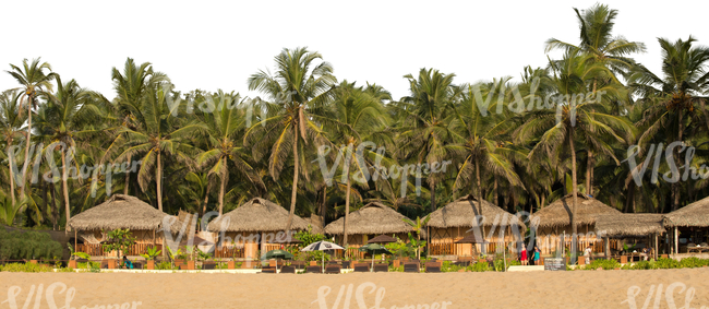 cut out background with palms and beach huts