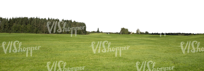 cut out background with hay field and a forest