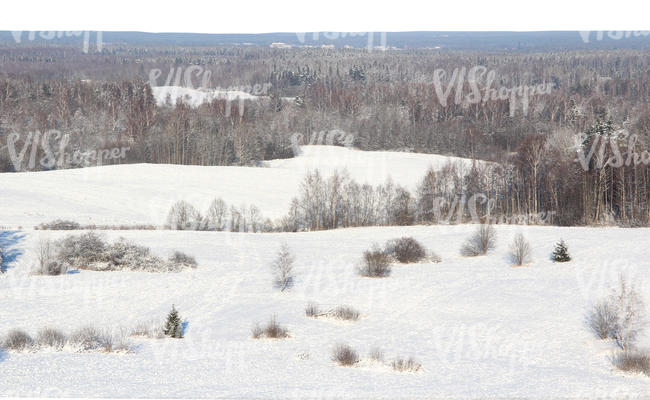 cut out backround with a winter landscape seen from above