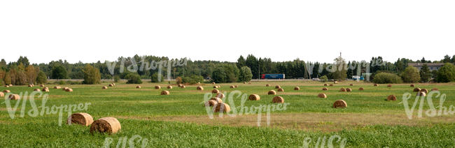 background with a harvested hayfield