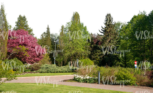 background of a park with trees and bushes
