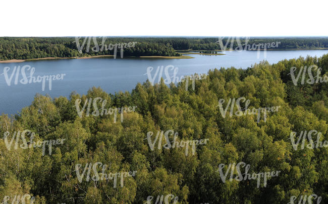 bird-eye view of a forest and lake