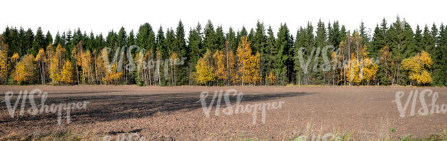 background with a field and forest in autumn