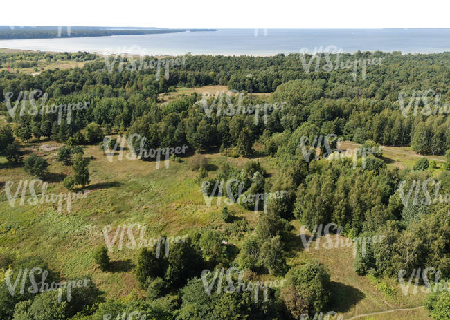 above view of a forest and lake