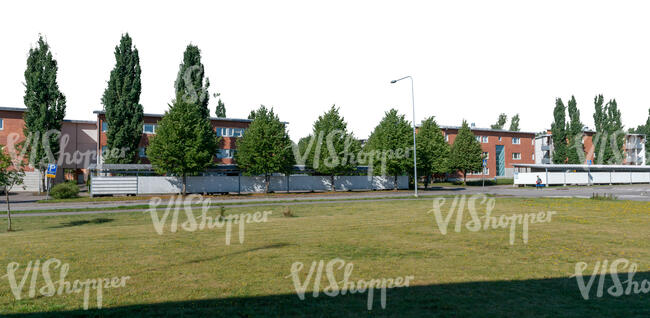 suburb houses with trees