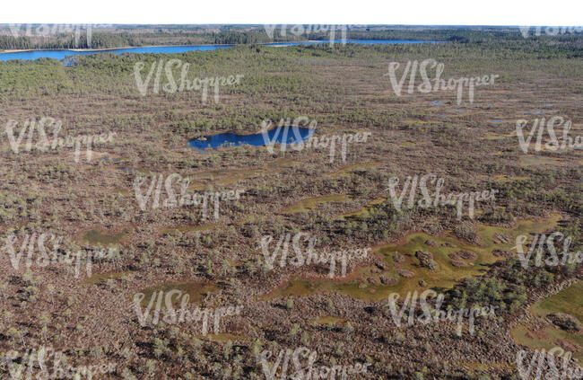 wild bog shot from above