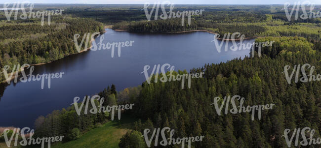 bird-eye view of a lake and forest
