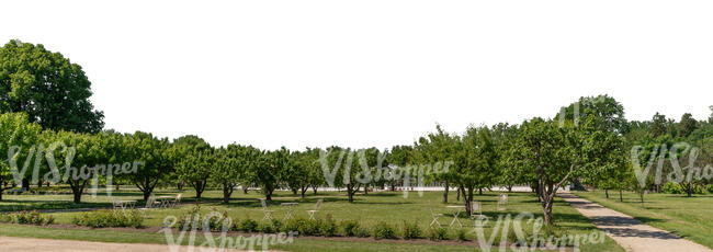 cut out background with a park and orchard