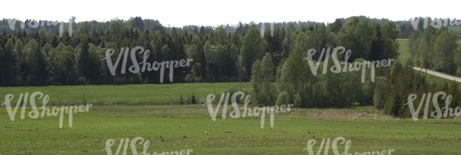 cut out background with a forest and field