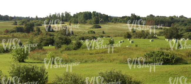 cut out agricultural landscape with a hay field