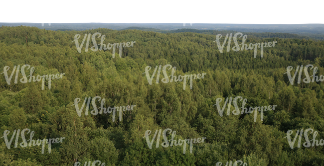 bird-eye view on a cut out background with forests