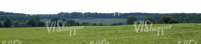 cut out background with fields and trees