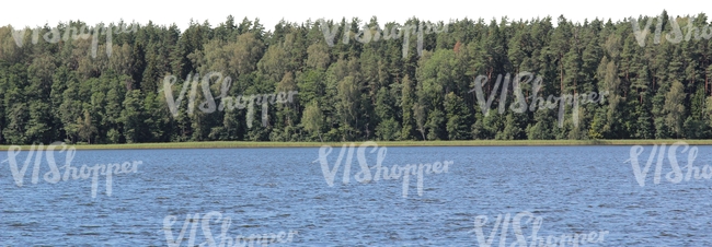 lake with a forest in the background