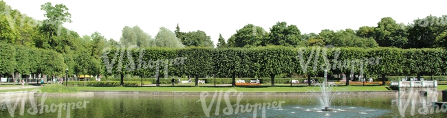 park with decorative trees and a pond