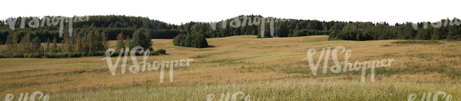 cut out background with a large hay field