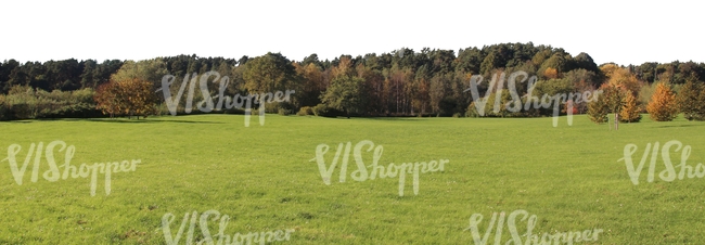 meadow in autumn with trees in the background