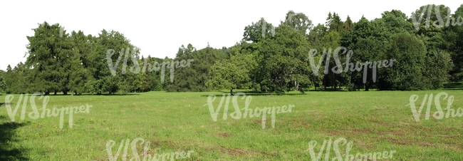 meadow with trees in the background