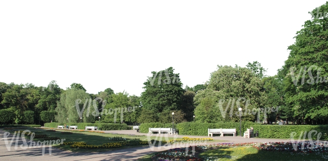 sidewalk with park benches and trees