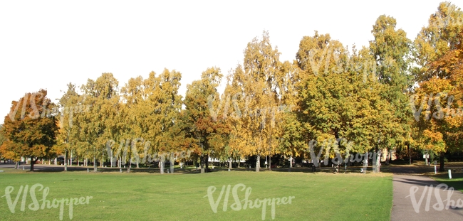 sidewalk in autumn with colorful trees