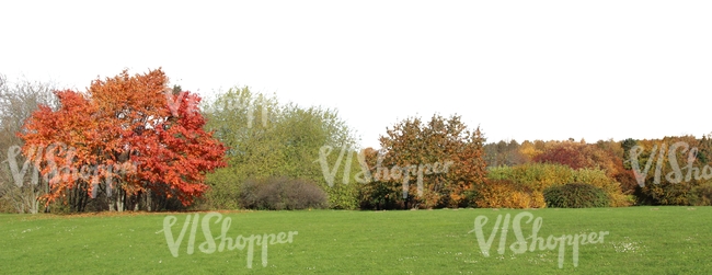 landscape with colorful trees in autumn