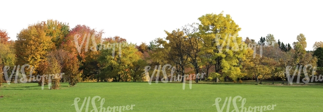 view on a park in autumn