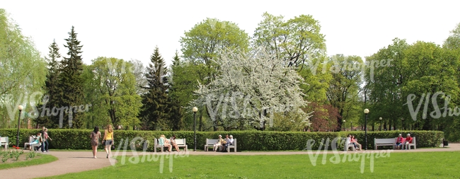 springtime park with benches and people