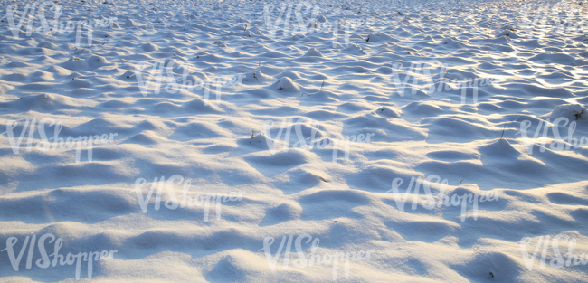 snow covered ground at sunset