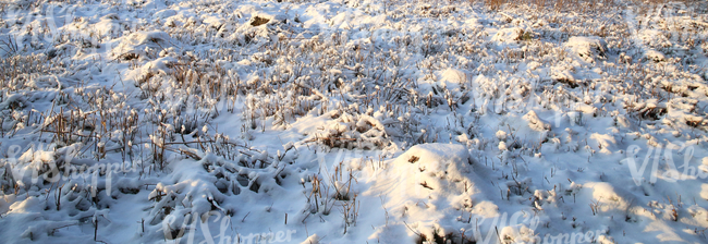 snowy winter landscape