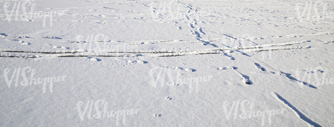 footprints in the snow