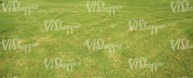 freshly mown lawn texture